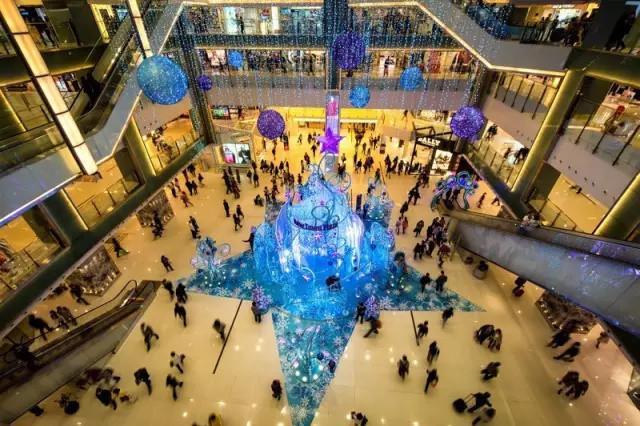 全国各地特产大全视频,长白山特产林下灵芝片东北特产50g