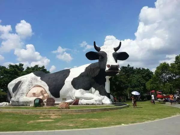 深圳失去双臂,深圳现状是什么