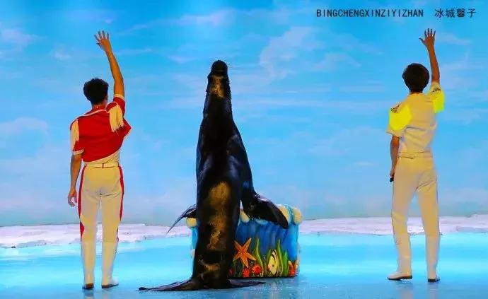 哈尔滨极地公园极地馆时间,哈尔滨极地公园和极地馆区别