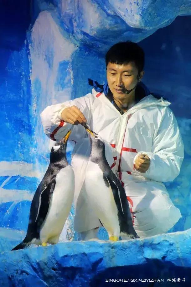 哈尔滨极地公园极地馆时间,哈尔滨极地公园和极地馆区别