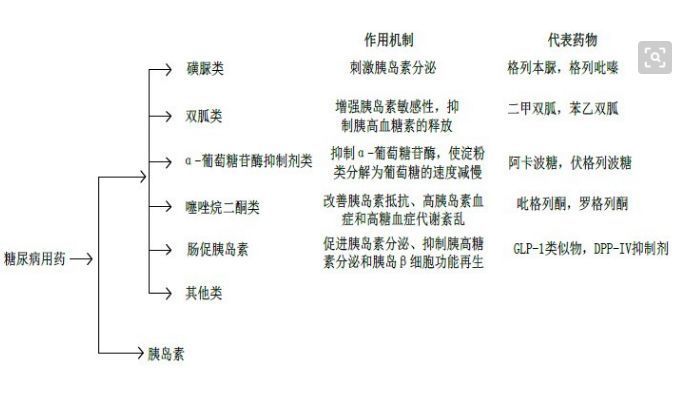 曲格列汀和二甲双胍合用,恩格列汀二甲双胍一型糖尿病