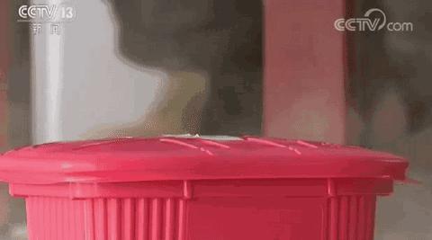 被网红毁掉的中国景点,被网红毁掉的普通人