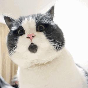 当心假冒伪劣产品,当心容易被骗的假货