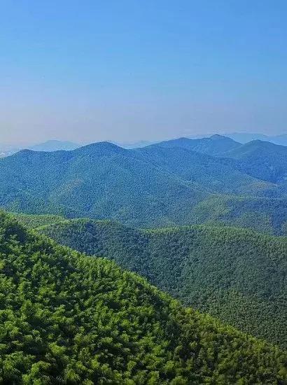 宜兴竹海吹起了一股简洁风,吹来了一波纯色壁纸~