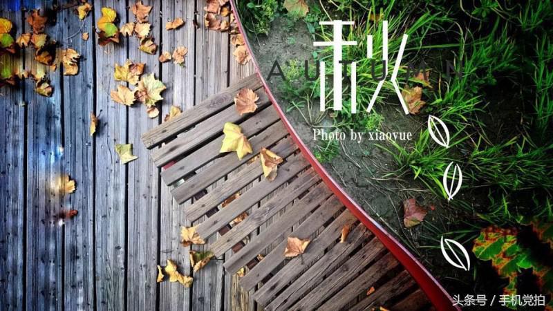 word怎么让图片印章衬于文字下方,图片上面加印章怎么浮于文字上方