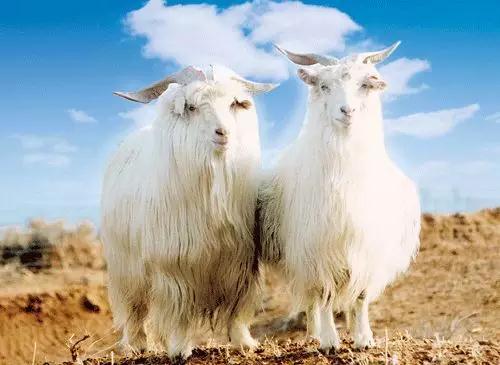 你对身边事物的误解,你对其他行业的误解