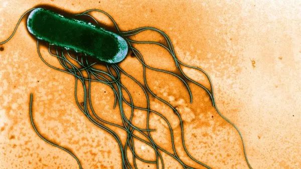 你家宝宝喝奶粉了吗,你家孩子还喝奶吗