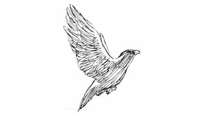 多肉老桩,美到爆炸,拥有一株做梦都会笑!