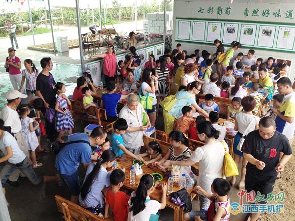 竺君灿:小小葡萄干成大产业农田变公园玩转高科技+农业