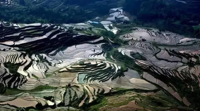 重庆免门票周边游地方推荐,重庆周边免门票公园