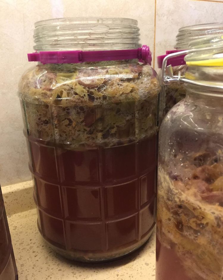 自酿葡萄酒怎么判断葡萄酒坏掉了,葡萄酒怎么酿家庭版