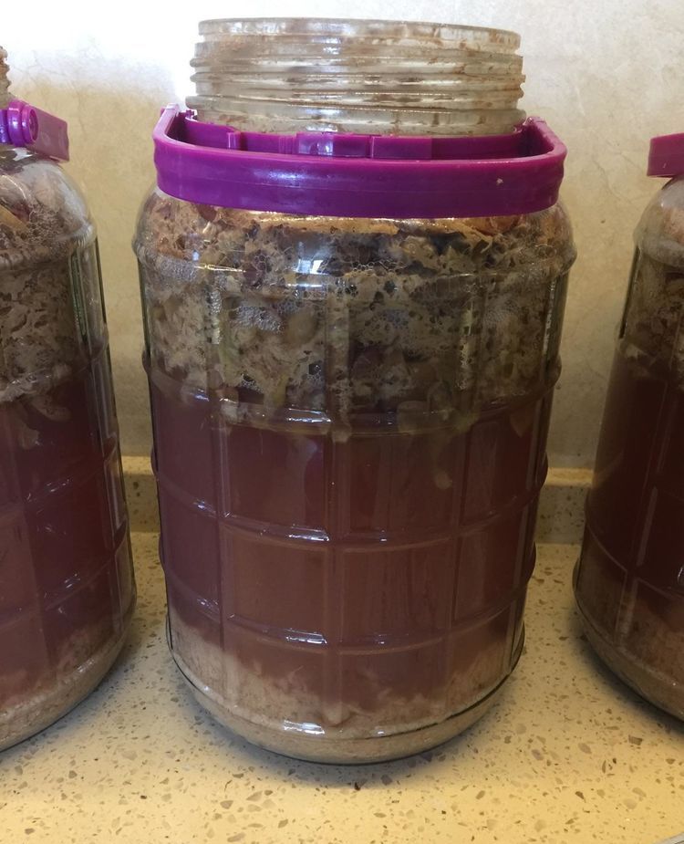 自酿葡萄酒的详细制作方法,葡萄酒正确做法自酿全过程