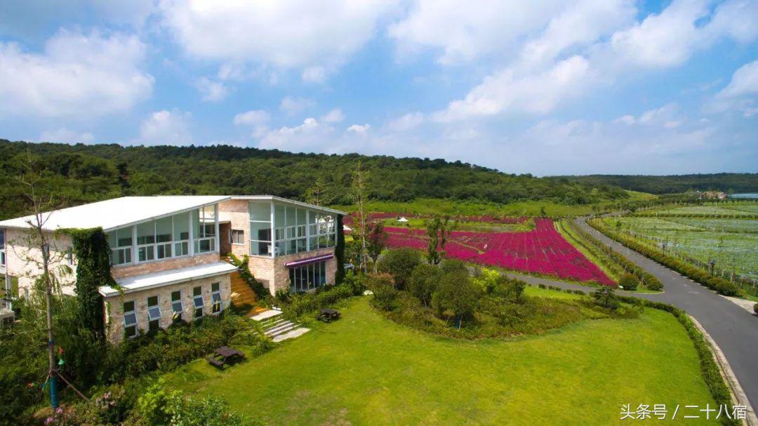 陈柏霖一个人的旅行,陈柏霖花少完整版视频