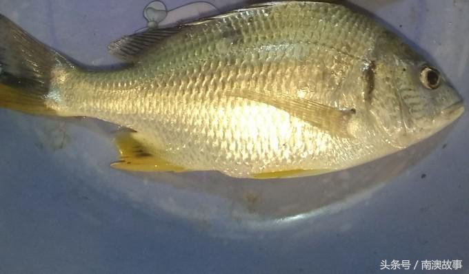 国庆去南澳岛旅游攻略,南澳岛赶海出海游玩攻略