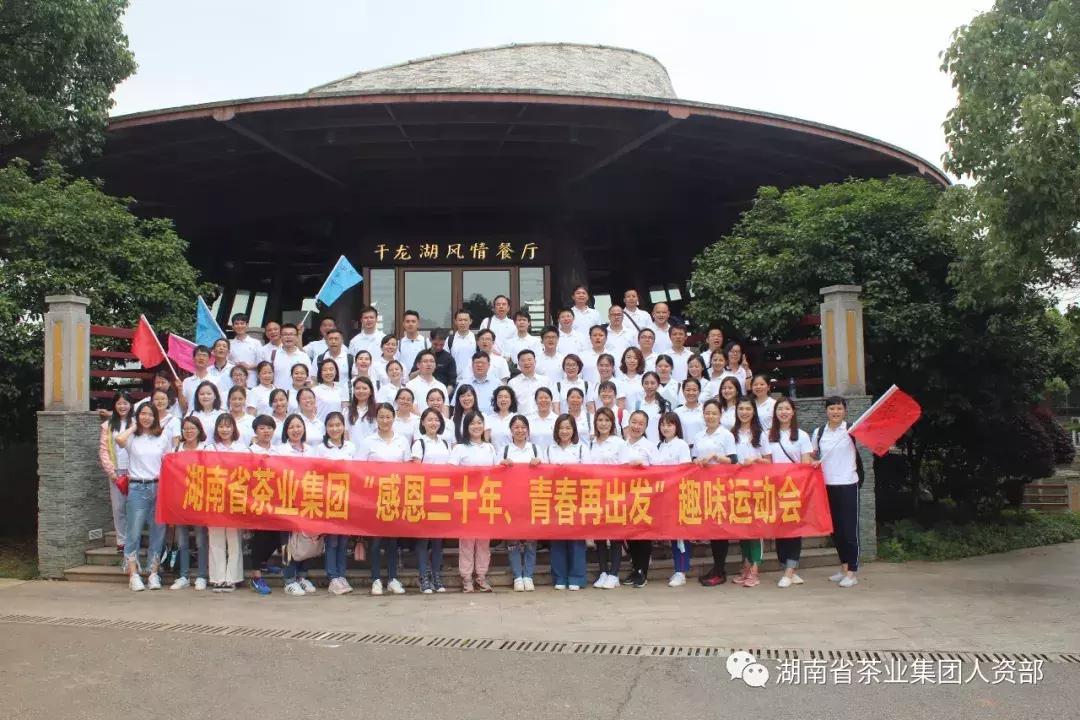 湖南千亿茶产业,湖南茶业产业发展现状
