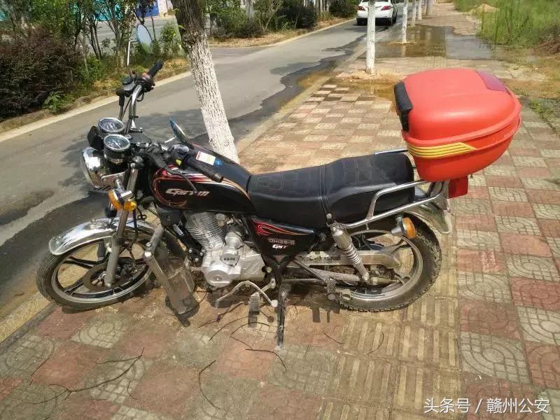 盗窃林木连环案,4人结伙作案5次盗窃木材16吨