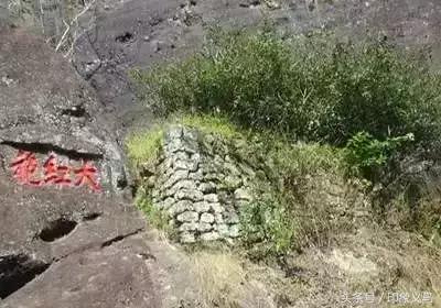 岩茶十大名茶排行榜,福建十大名茶排行榜