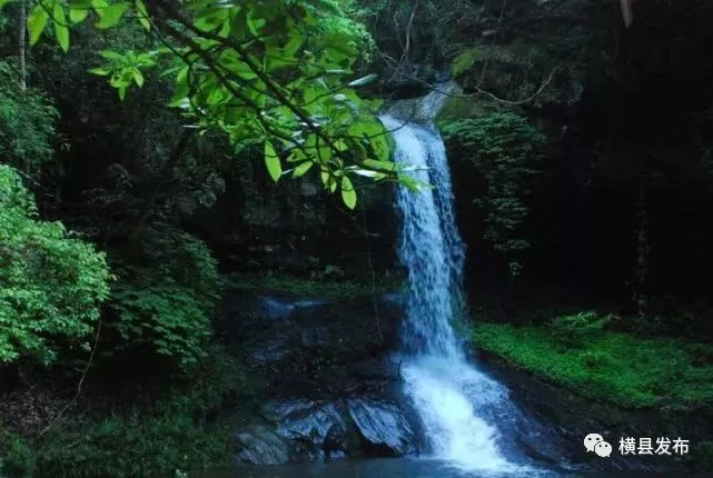 骞胯タ妯幙鑼夎帀鑺变埂瑙嗛,骞胯タ妯幙鑼夎帀鑺变埂