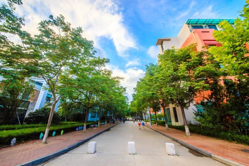 如你所愿丽江民宿,如你所愿实景豪宅