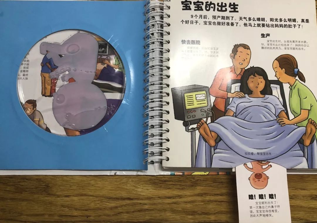 青春期性教育书籍排行榜前十名,适合小学生性教育的书推荐