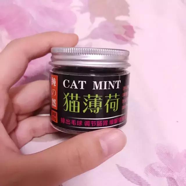 猫猫为了猫薄荷可以有多疯狂,记录猫咪吸猫薄荷日常