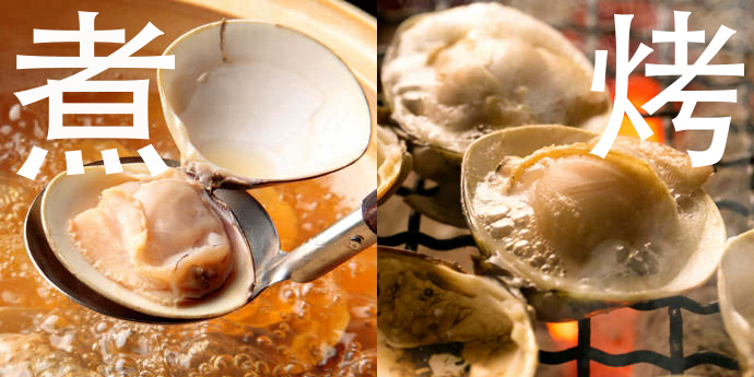 蛏子贝壳类海鲜,贝类海鲜有哪些毛蚶