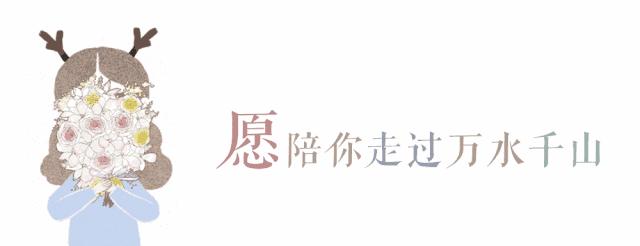 属猪的人到底好不好,属猪的人过得都怎么样呢