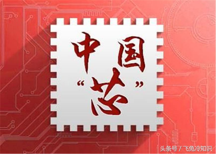 中国芯片创始人,芯片领军人物女博士改入中国籍