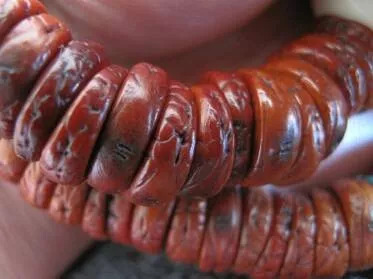 枣核凤眼菩提是菩提吗,麒麟眼菩提和凤眼菩提