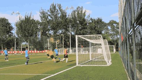 强军杯武警部队赛区足球,2023强军杯篮球赛冠军