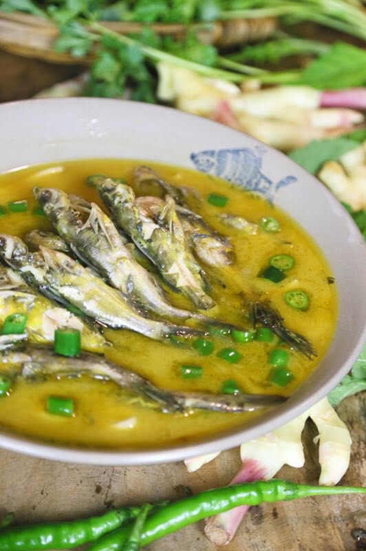 旅行推荐美食酒店,酒店十一月新菜推荐