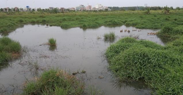 新手选路亚怎么选,新手入坑路亚到弃坑全过程