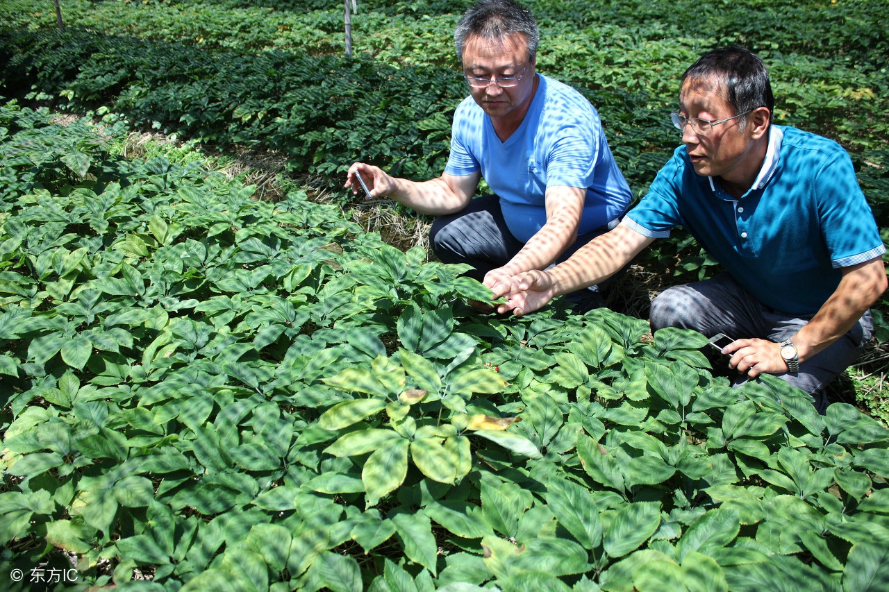 农业应该怎样发展才能赚钱,农民怎么应对当今时局