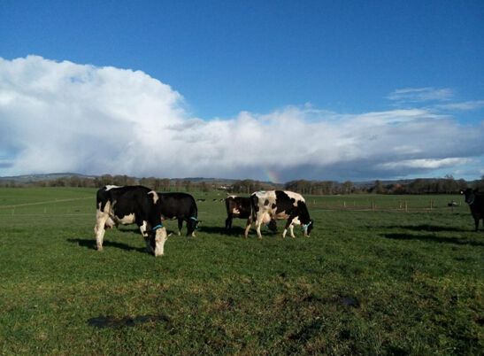 海外问题奶粉,问题奶粉名单2020进口