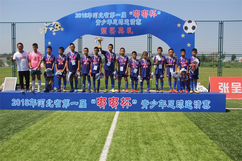 河北省嘟嘟杯,嘟嘟杯决赛