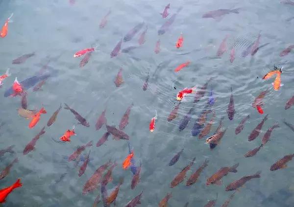 黑龙潭的记忆碎片，愿你越来越好