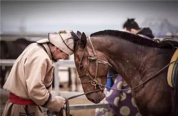 外国媒体列举蒙古人的14个实据