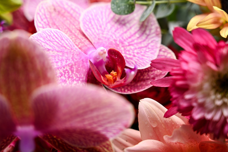 尼康Z7II全画幅微单评测视频,尼康z7微单深度评测