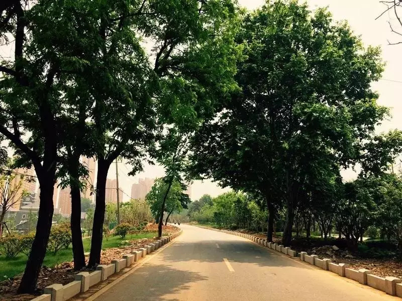 南京燕子矶简介,燕子矶传说故事