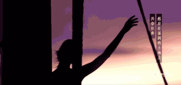 六个免签海岛颜值完爆马岱,值得去的海岛免签国家