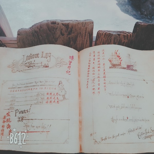 迪士尼旅游全攻略,六月上海迪士尼旅游攻略