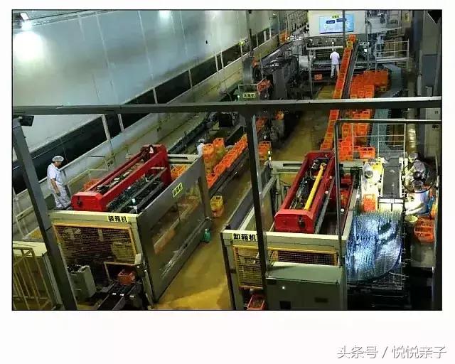 北冰洋69.9块钱24瓶,69元北冰洋汽水