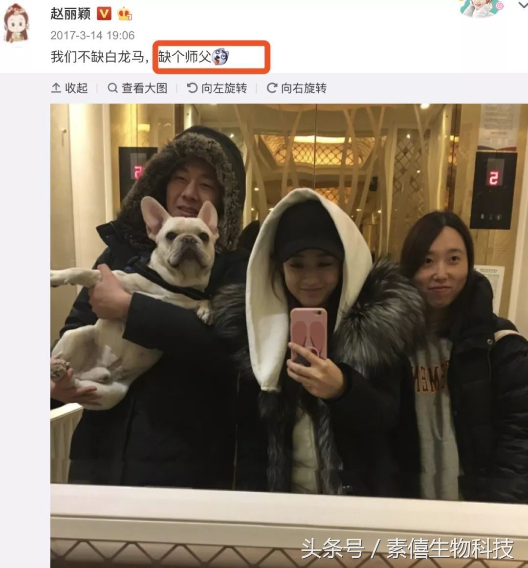 冯绍峰赵丽颖聊天,赵丽颖冯绍峰谈恋爱逛街