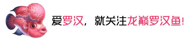 怎么防止鱼得肠炎,解决鱼肠炎的老方法