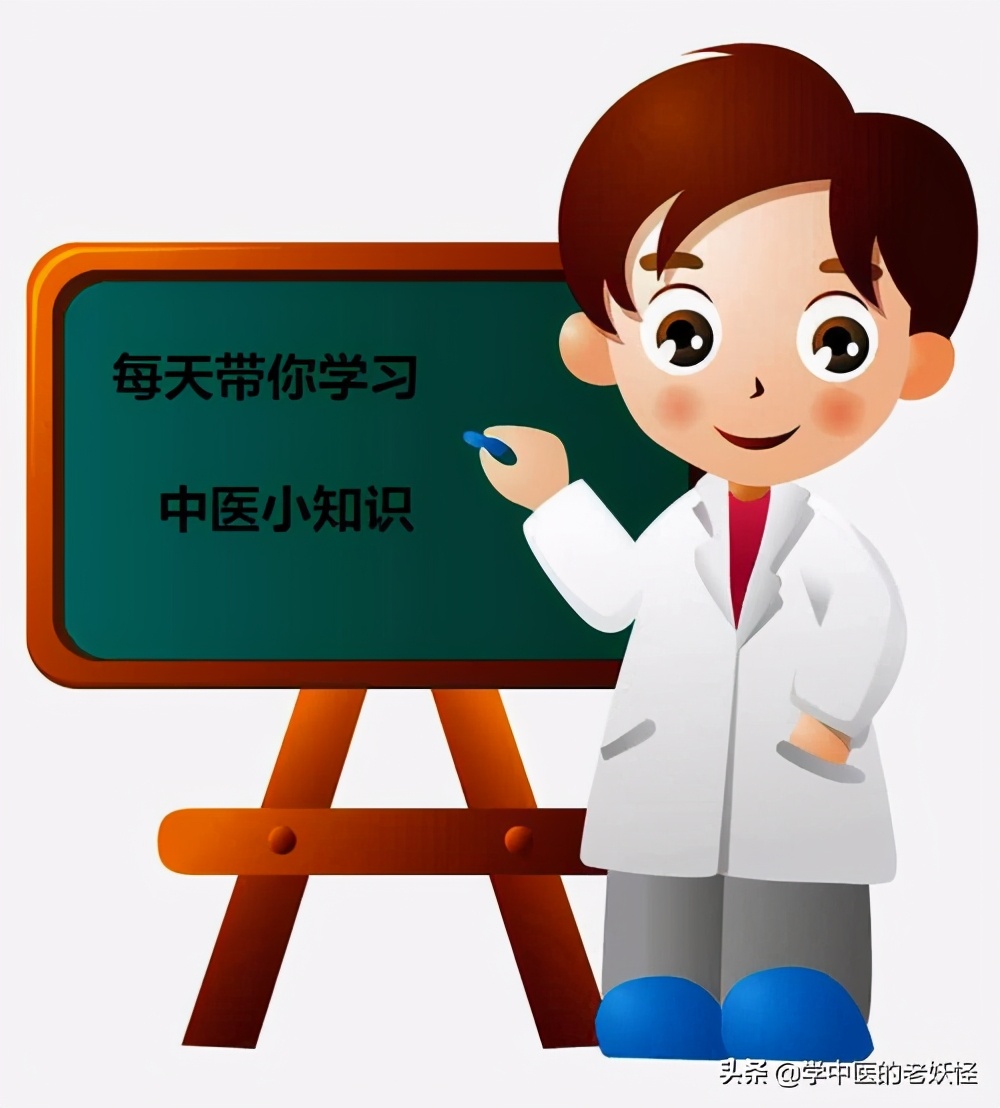 每日一药砂仁,每日一药木瓜