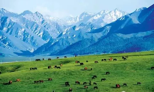 张掖是现在的什么城市,张掖一座被严重低估的城市