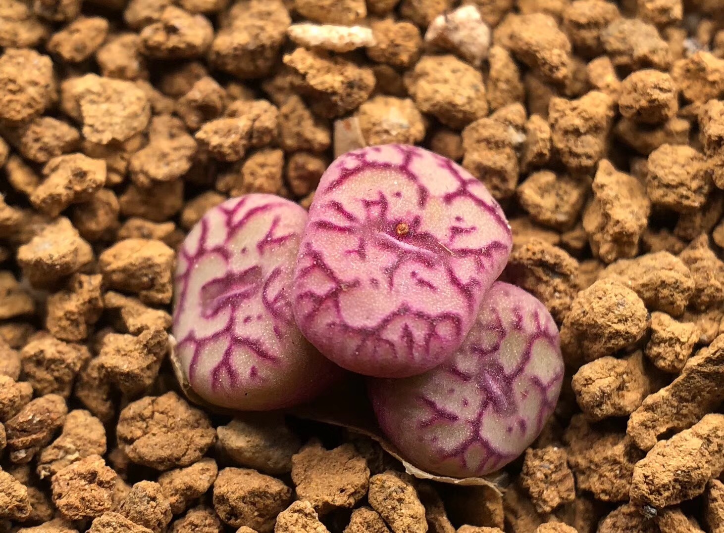 慢生活阅读视频,慢生活阅读