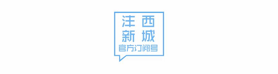 西源汇公司创业项目介绍,西源汇的创业项目