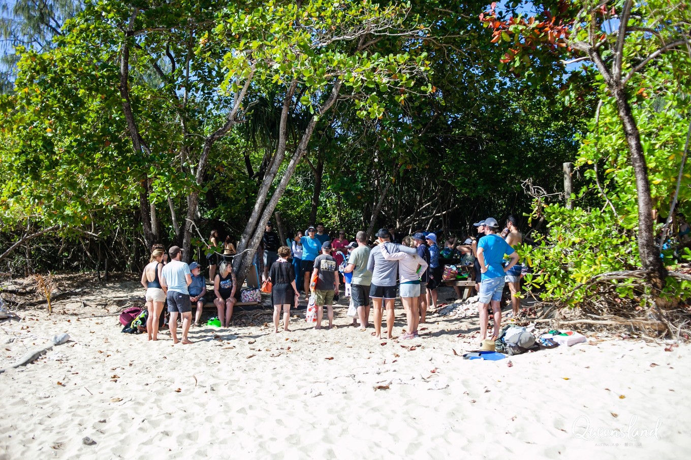 凯恩斯附近的海岛,凯恩斯海岛旅游攻略