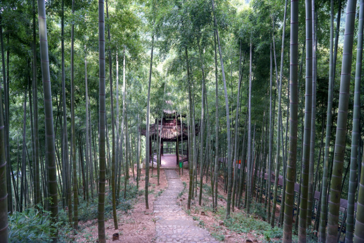 湖州安吉旅游省钱攻略,湖州安吉旅游攻略全部